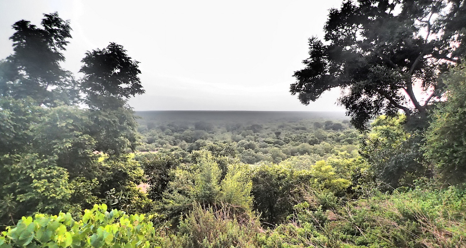 A bluff overlooking the Mole River.