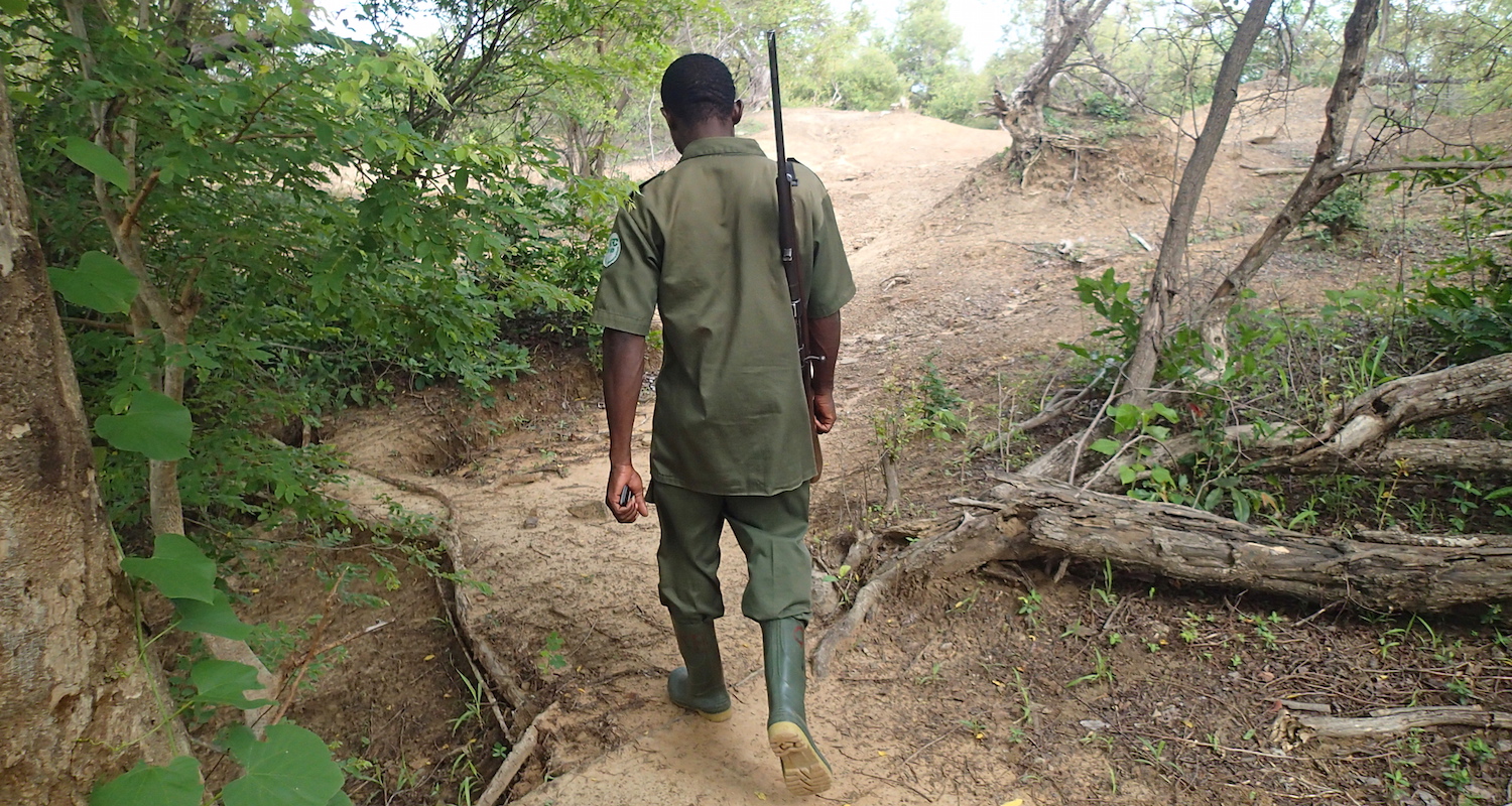 Following Moses into the wilderness. Our Moses has dispensed with the wooden staff. He packs a bolt-action antique (.357 caliber?).