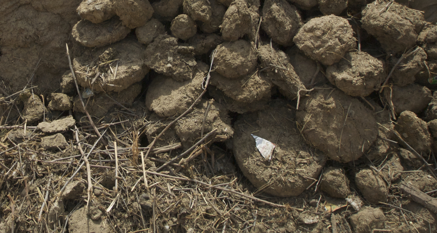 Dung patties.