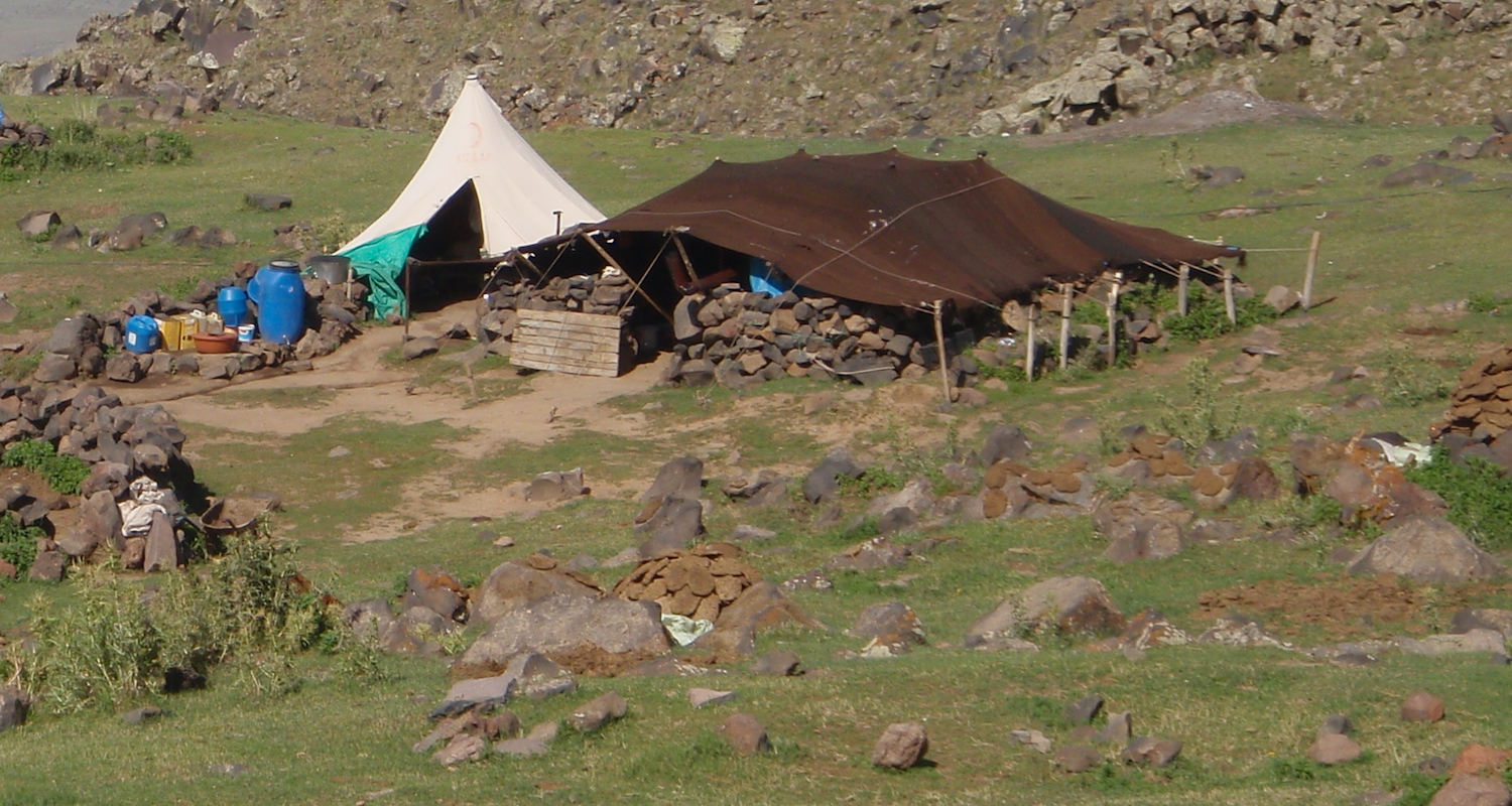 Summer encampment for a herding family. Note the dung cakes arranged on rocks on the edge of the camp.