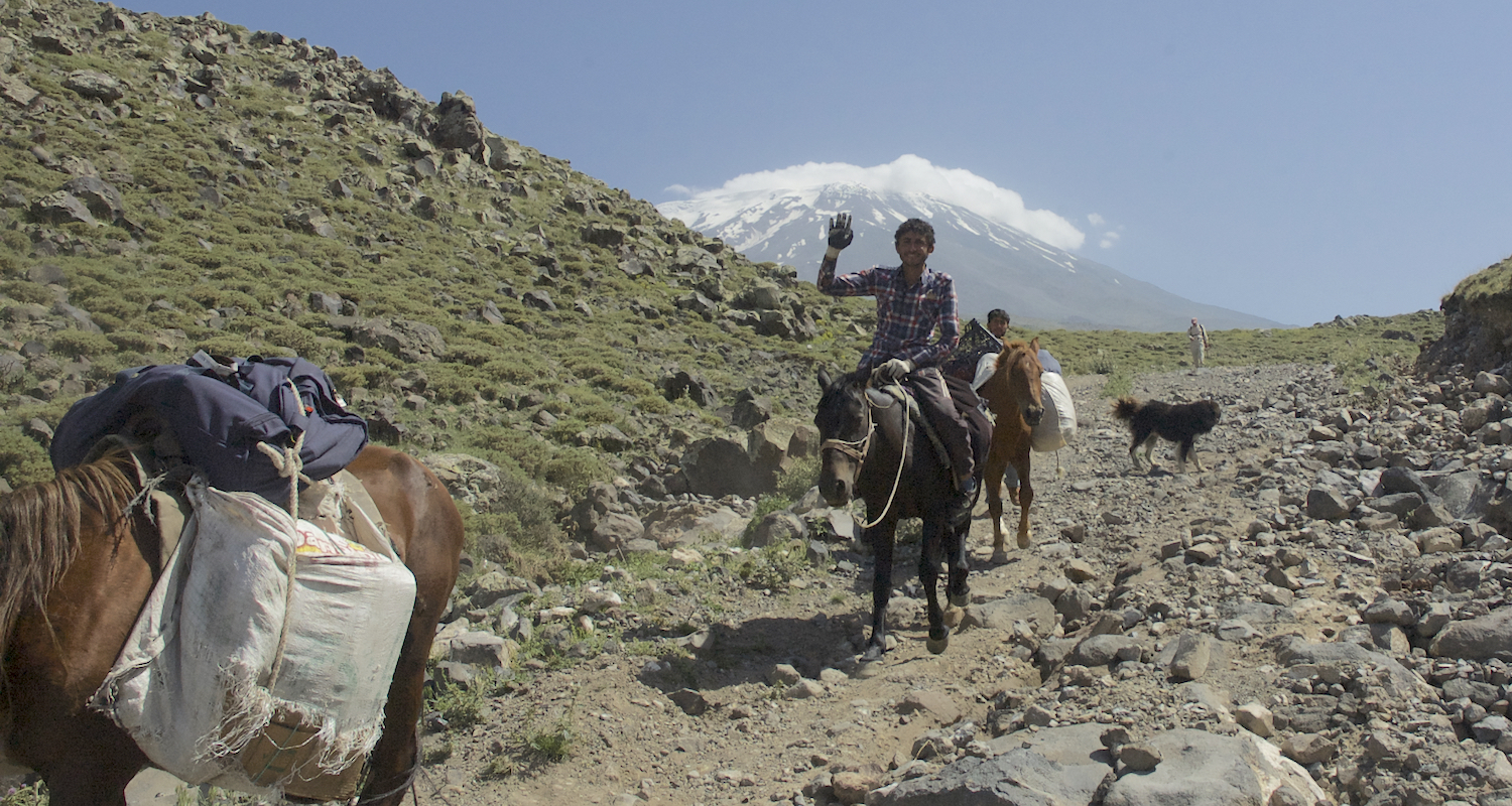 Passed by the horses.