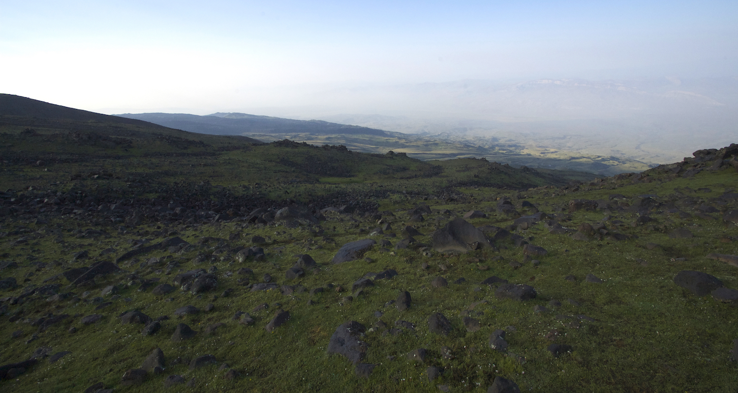 View downslope from the trail near Low Camp.