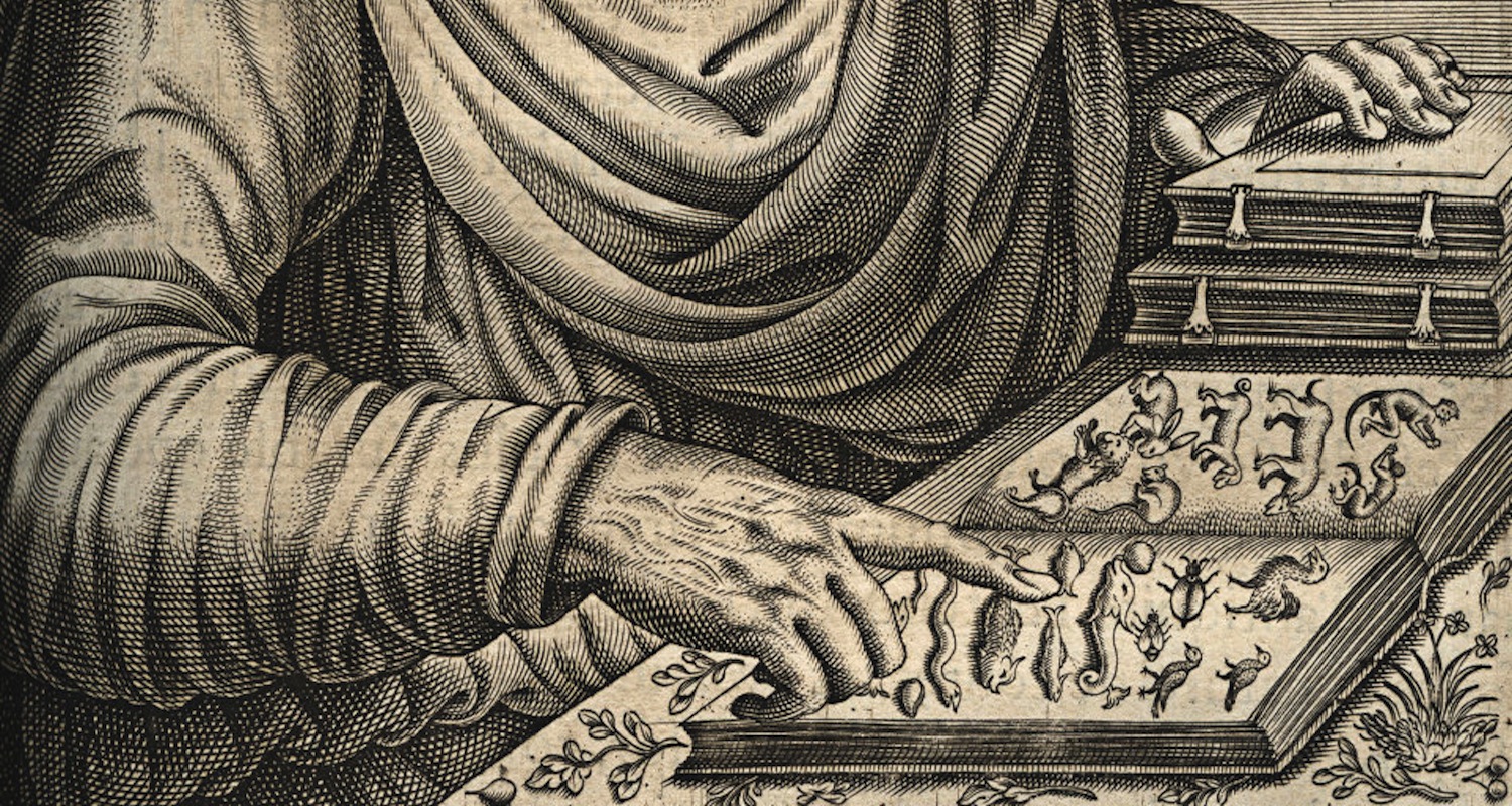 Pliny the Elder was the original Wikipedia. Image from here .