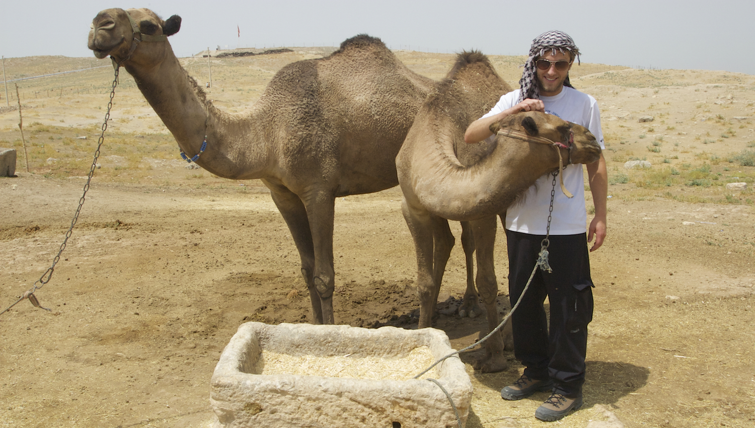 Tanner and the camels.
