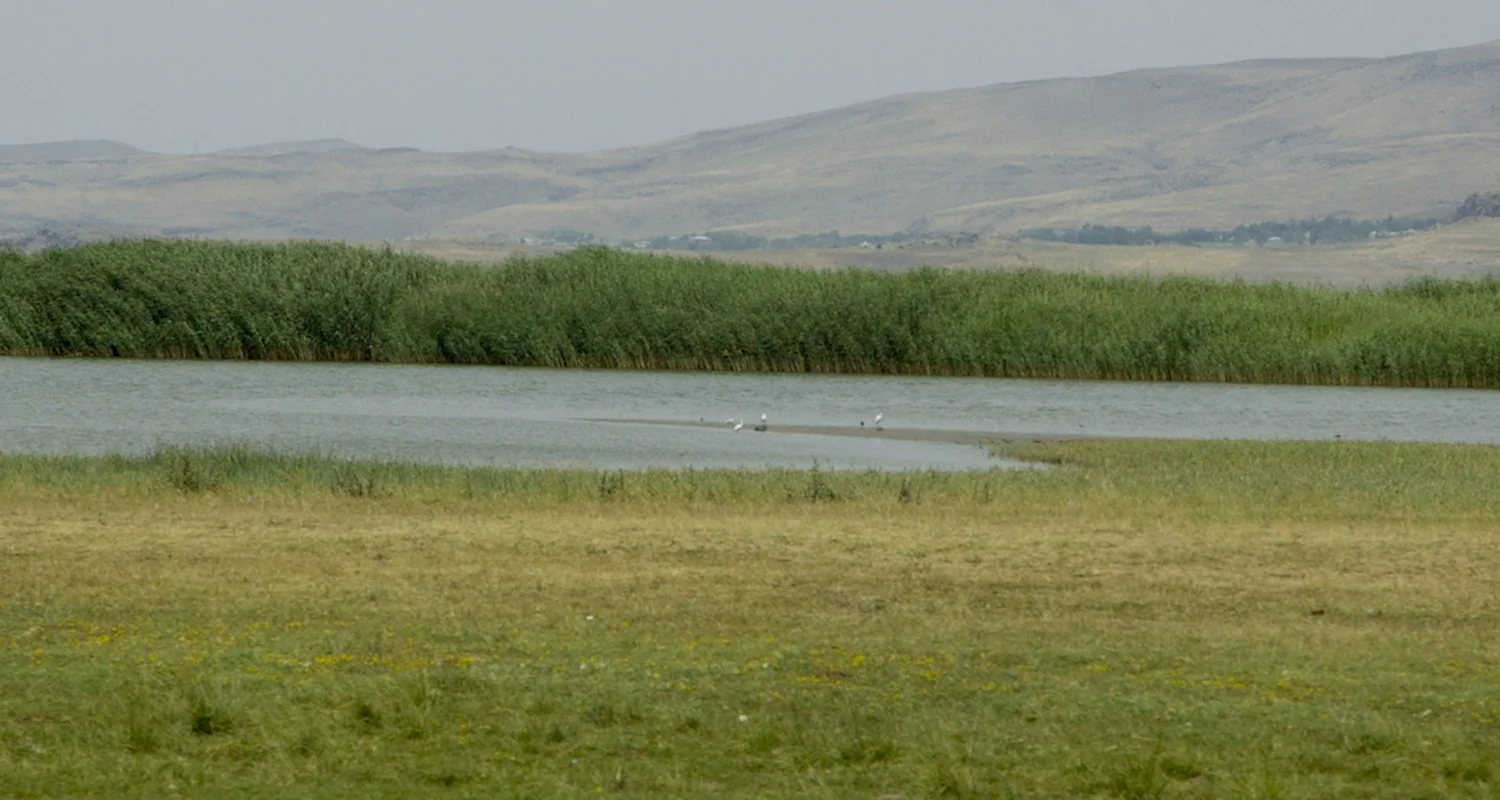 Wetlands near the mouth of the Bendimahi.
