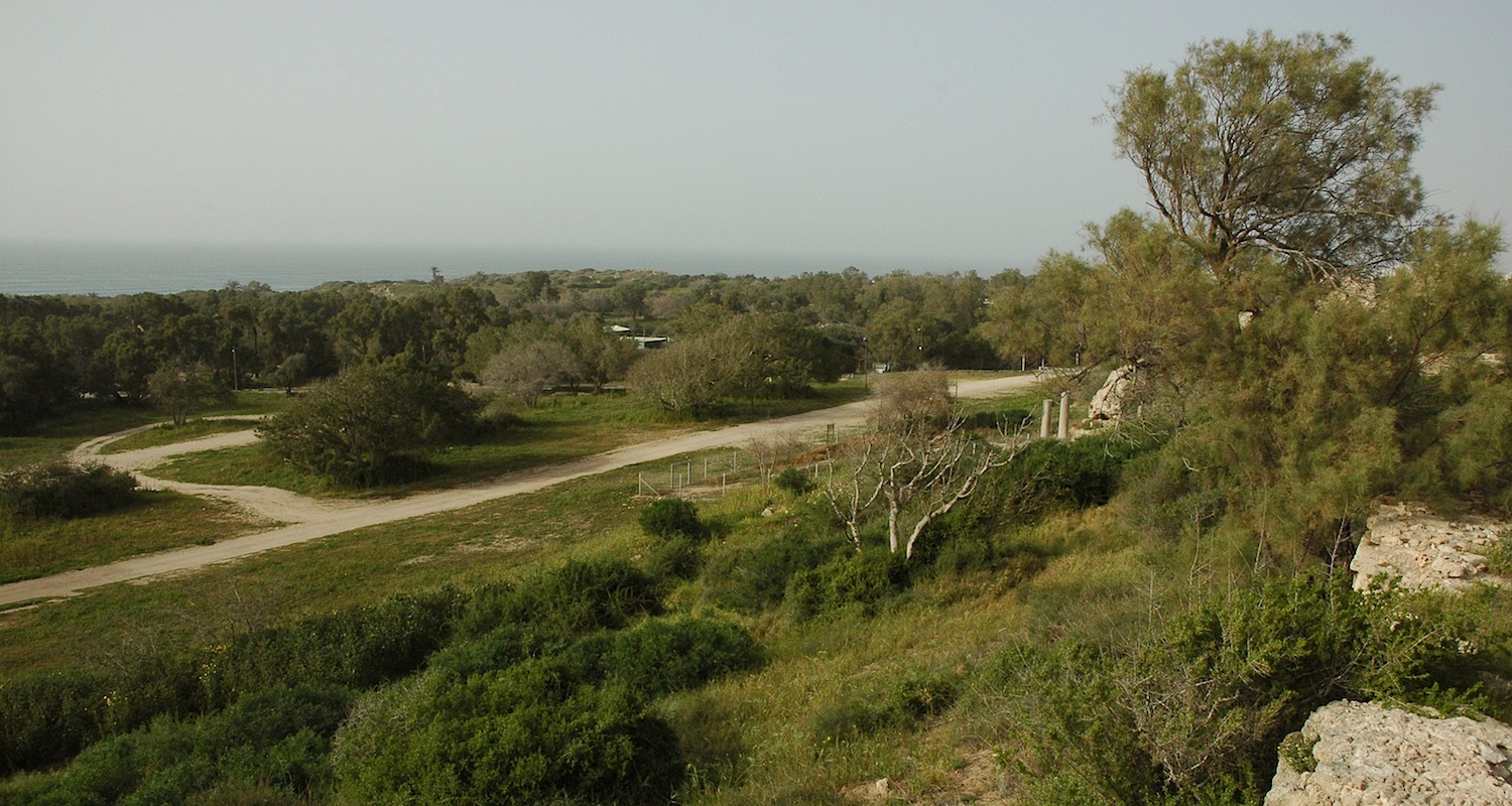View from the perimeter defenses to the center of old Ashkelon.