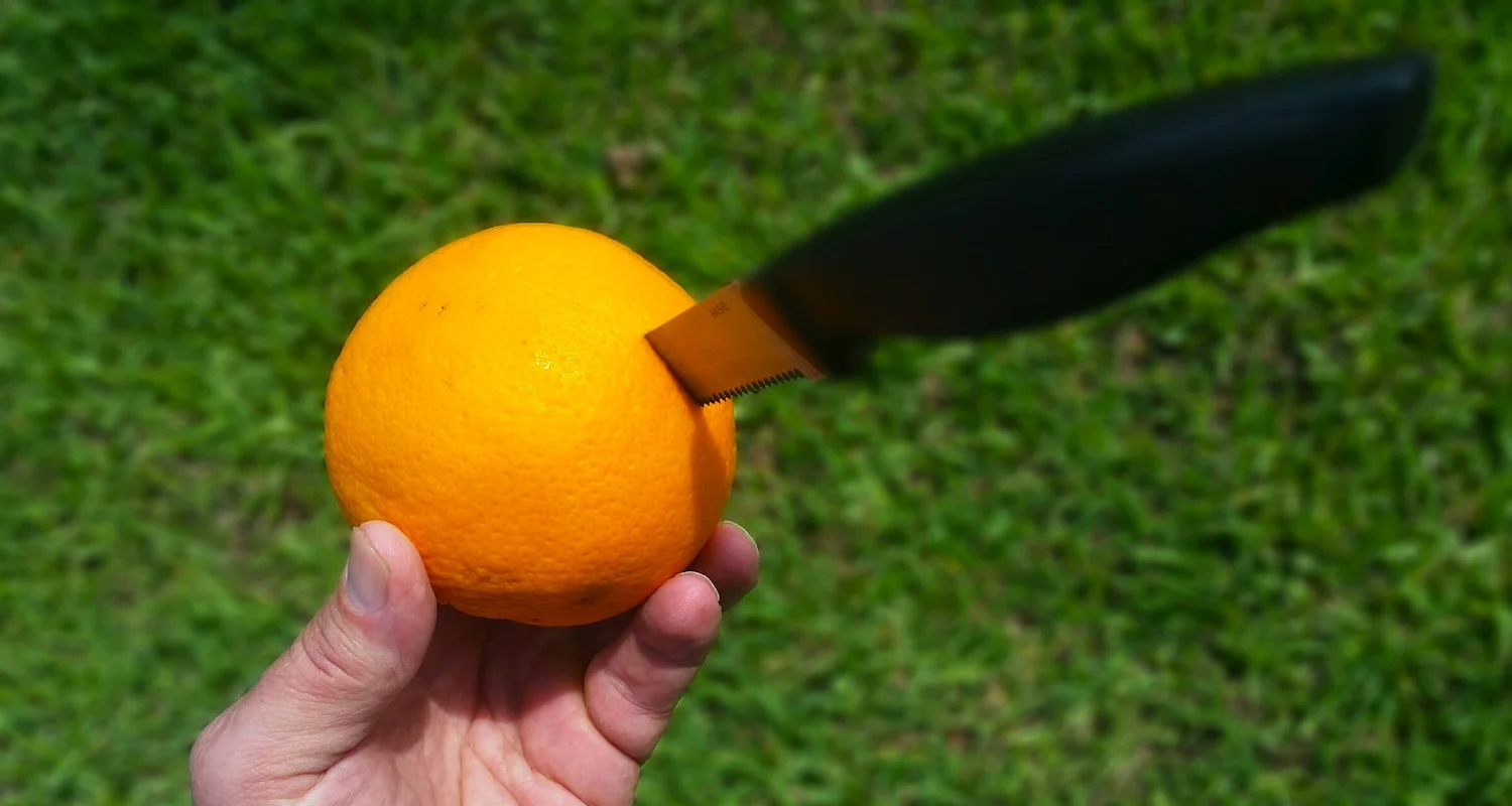 I saw an orange stabbed, sliced, skinned, and mutilated.