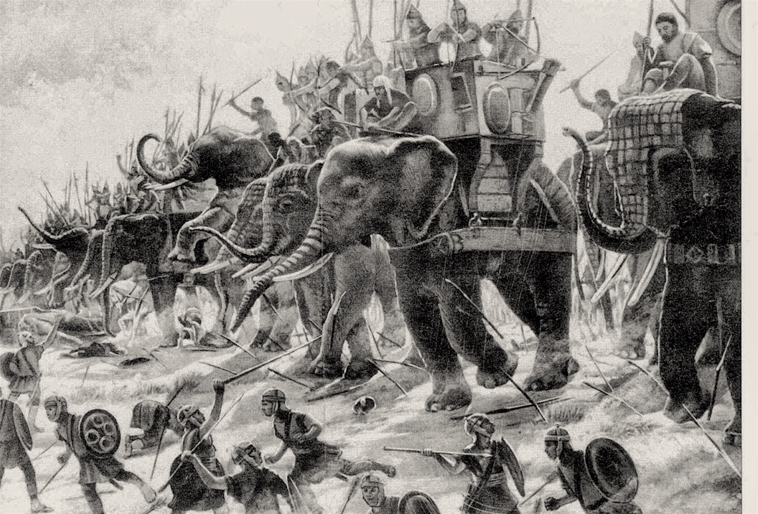 Carthaginian war elephants in battle. Image from here.