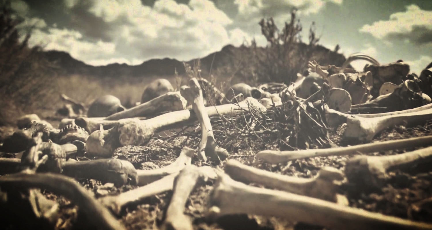 A valley of dry bones. Image from here.