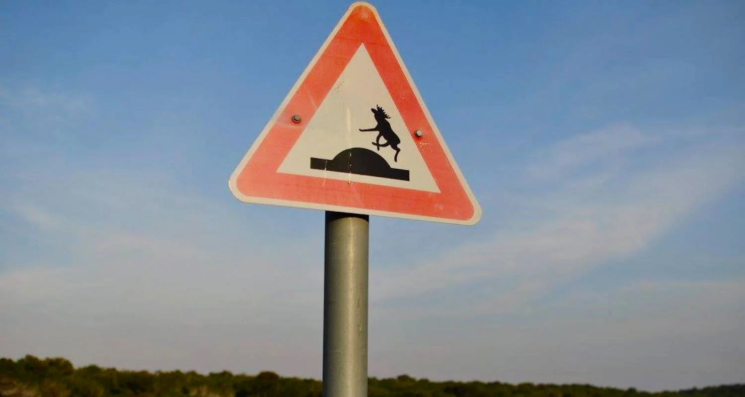 Somebody in Israel has a Canadian sense of humor.