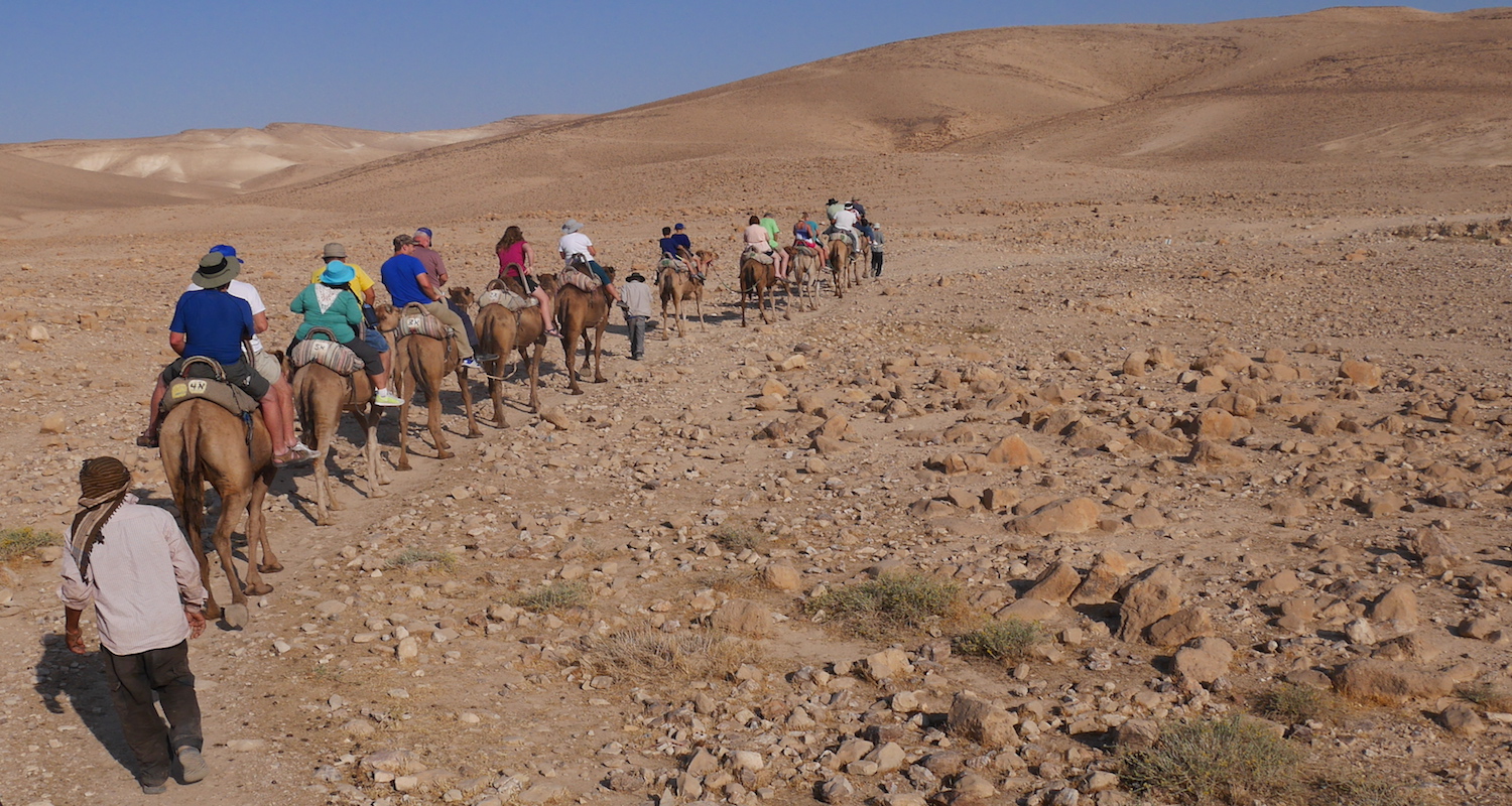 Camel riding in the Judean desert.