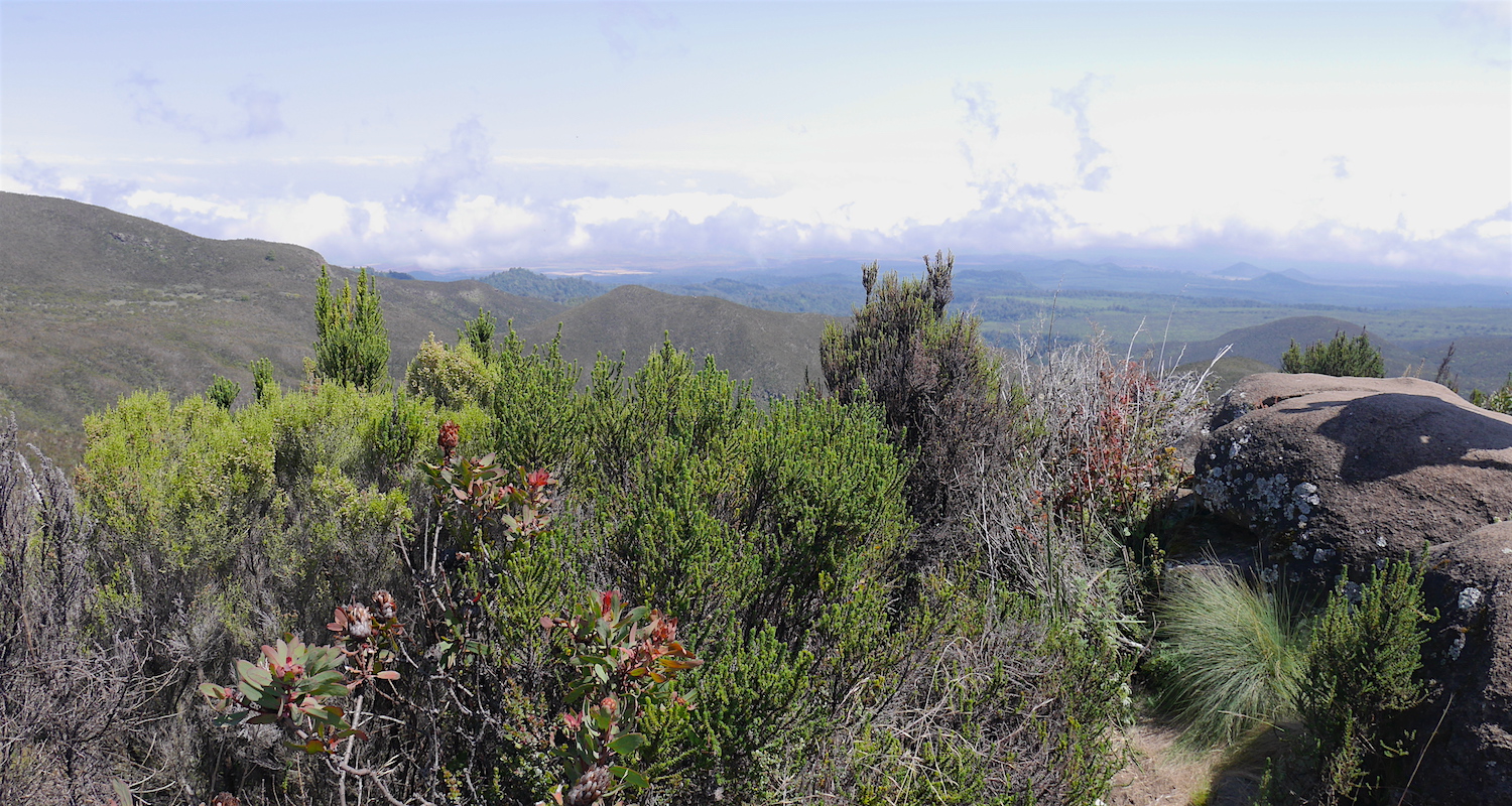 The view opened up from the Shira Ridge.