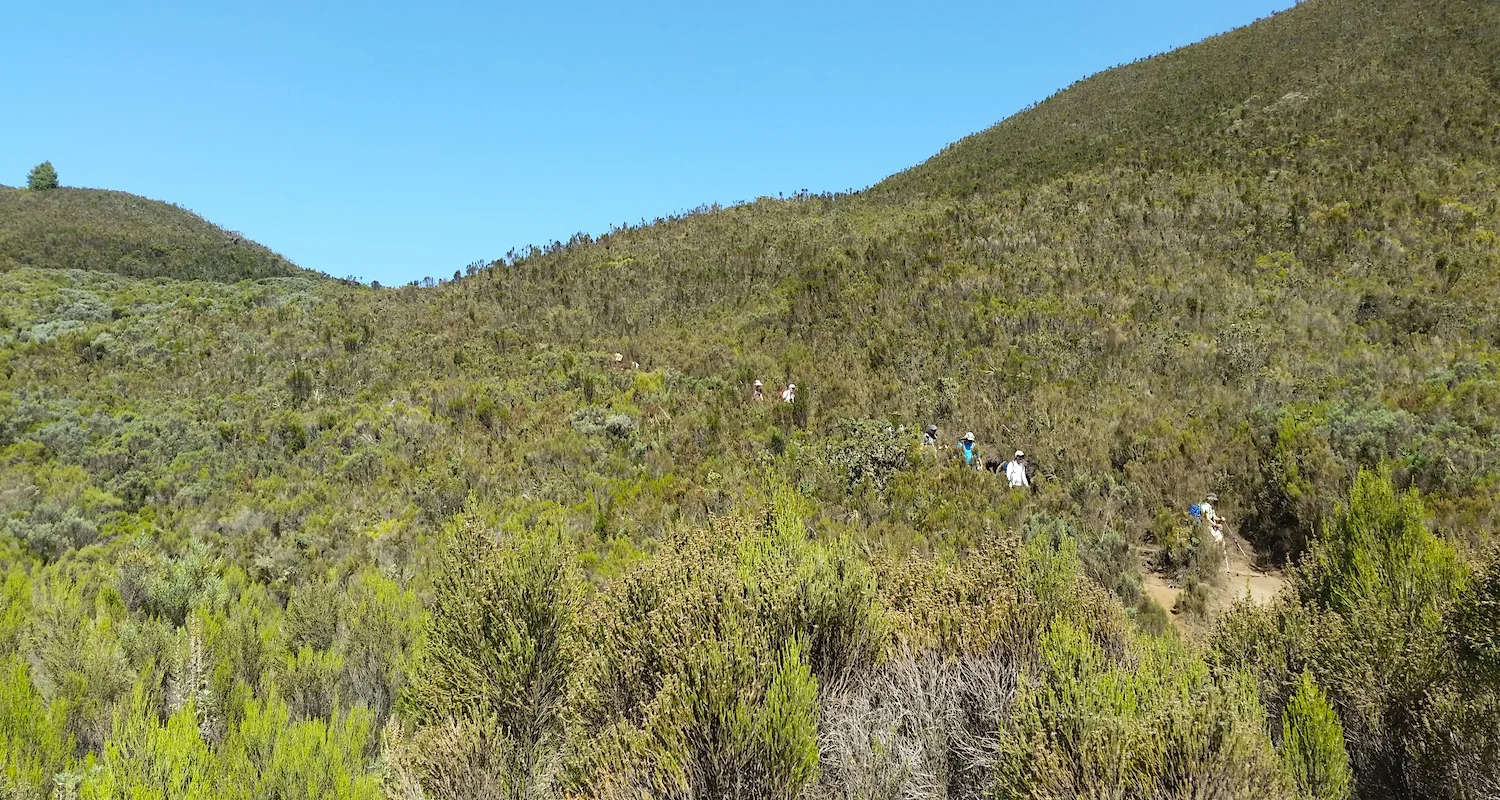 Hills crested like rolling waves.