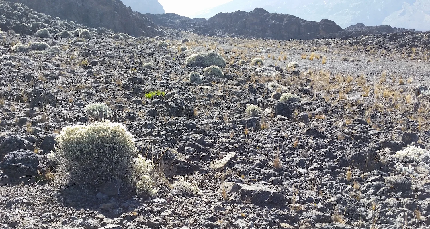 No lack of ammo on Kilimanjaro.