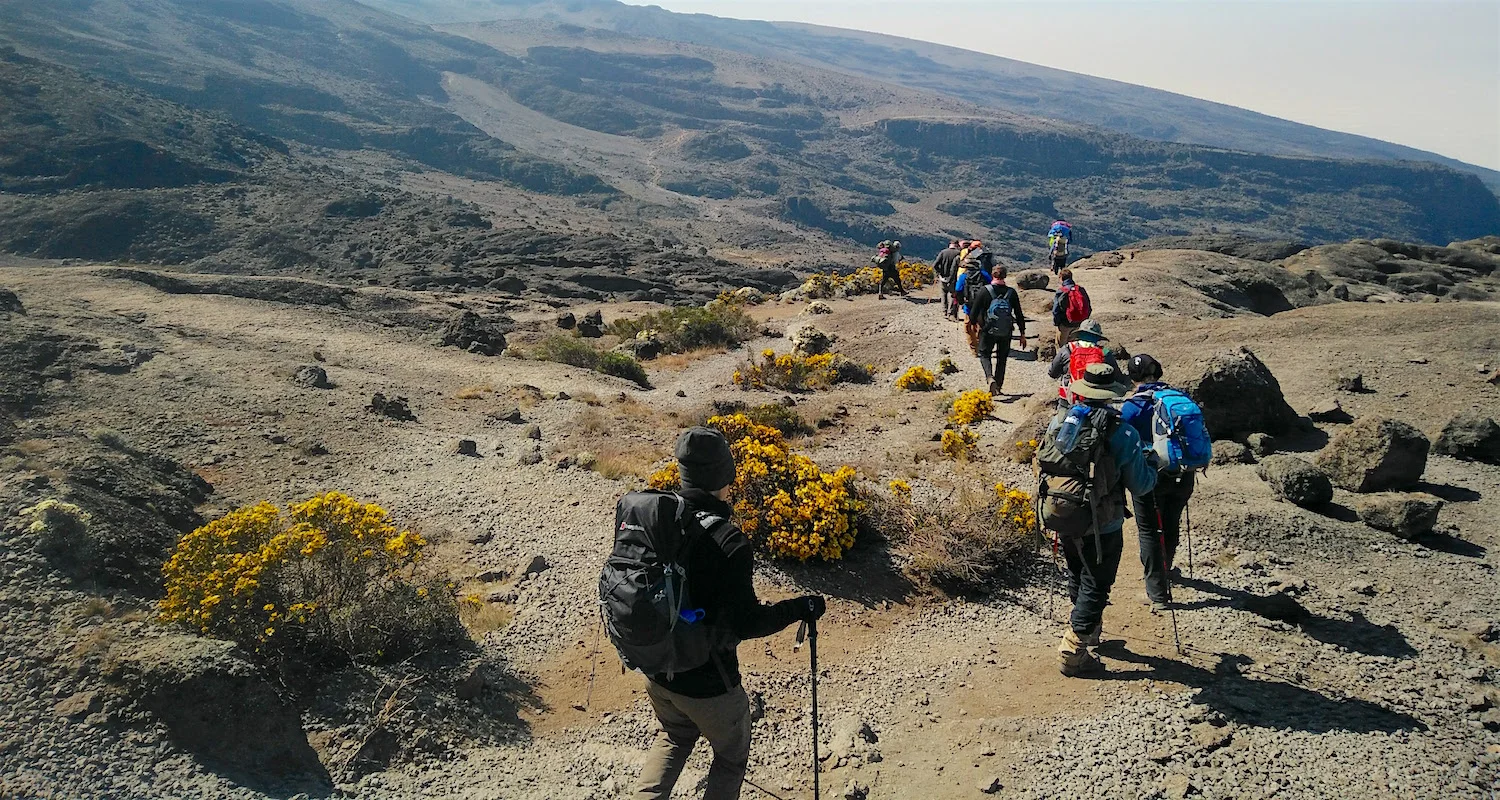 on the trail to karanga.jpg