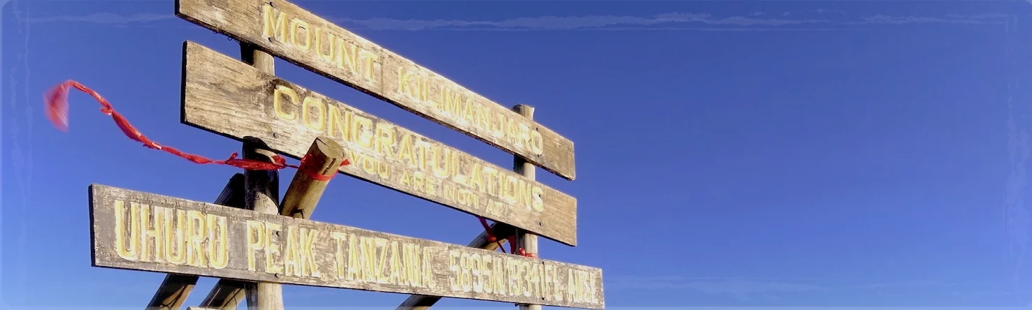 The wonder of africa