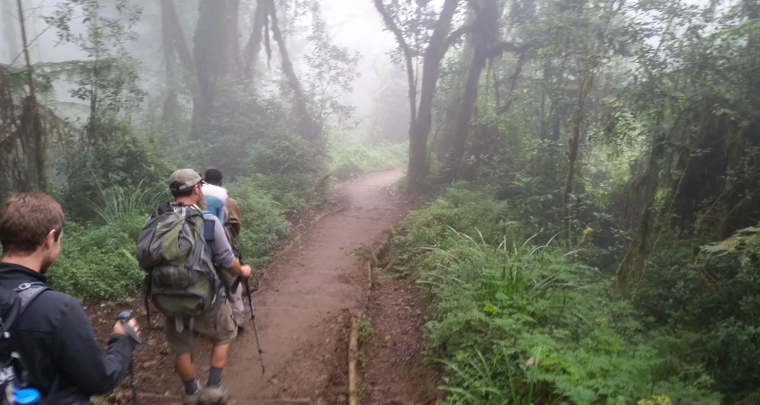 An amazing aspect of Kilimanjaro is experiencing many different biomes. Dense forest surrounds the base of the mountain.