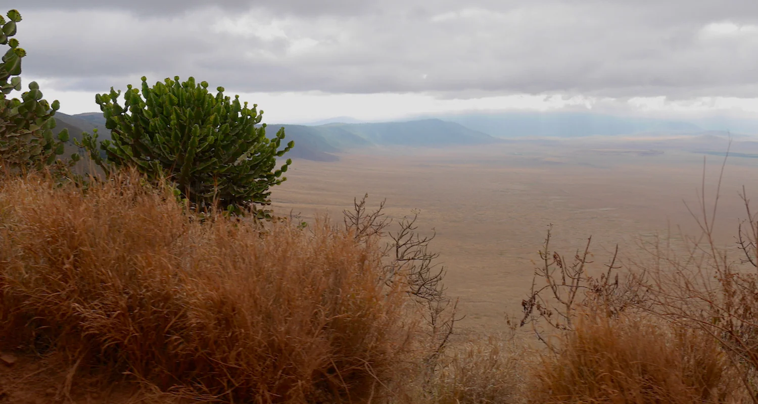 Our descent followed a track cut into the steep tuff walls of the crater.