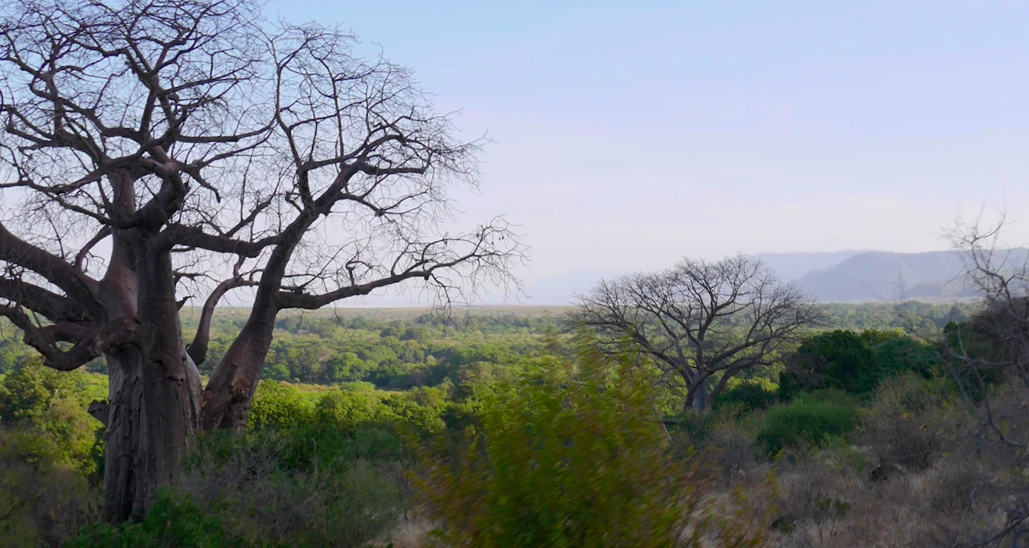 Descending the Great Rift Escarpment. The escarpment drops to the surface of Lake Manyara.