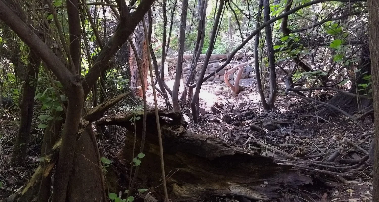 The Tel Dan Nature Reserve is thickly forested. It is a great place to find lurking archaeological remains and, at times, other sorts of lurking things. Image by Bible Land Explorer Priscilla Crosland.
