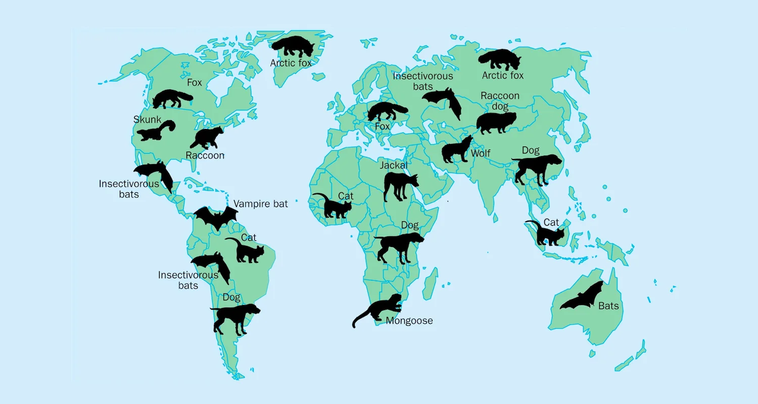 Rabies Lyssaviruses are found worldwide, in a wide range of mammal hosts. For graphic and more, see here.