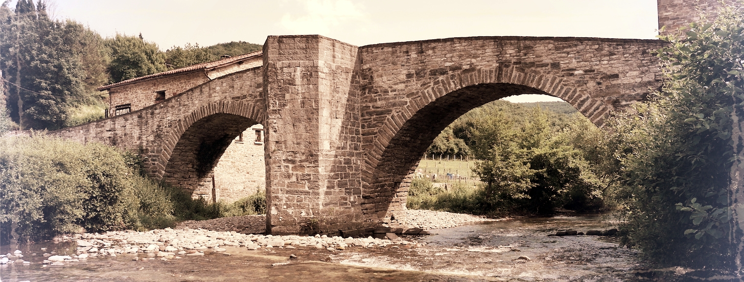 Rabies is not the way to go (part 6)