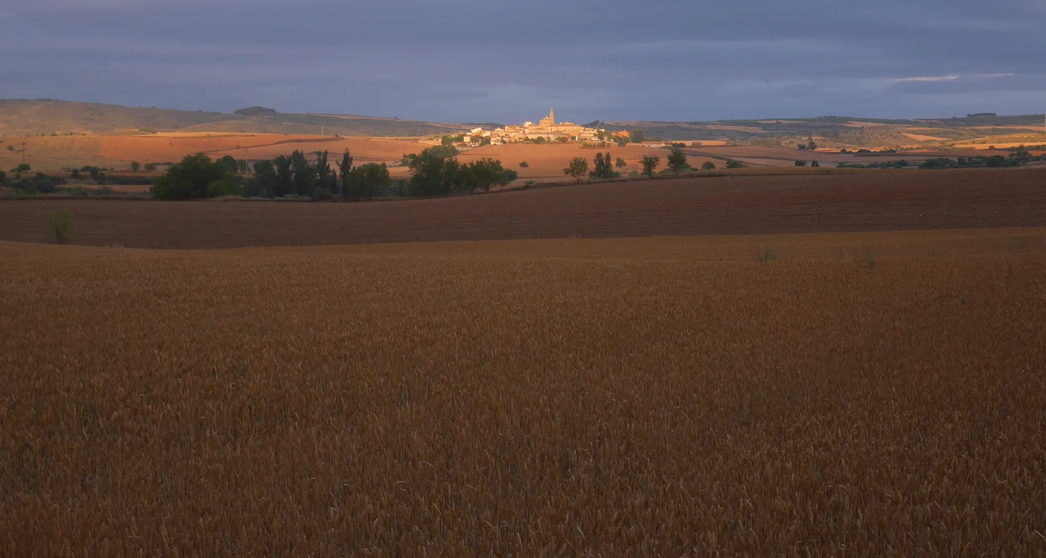 The sun rises on the La Rioja province of Spain. It is famous for cereal and wine production. While I've not been to Clavijo, I hiked a few miles north of it on my way to Logroño.