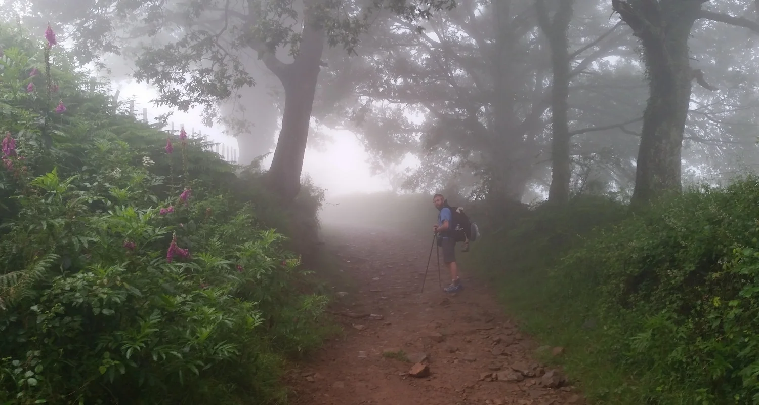 The marked trail followed asphalt and cow path. A heavy fog obscured our vision.