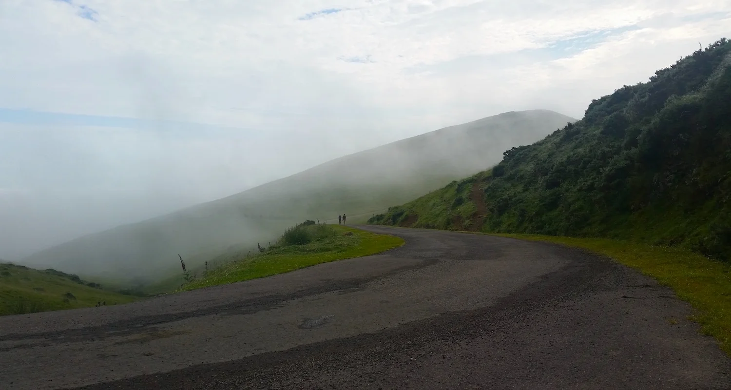 At midmorning the fog began to clear.