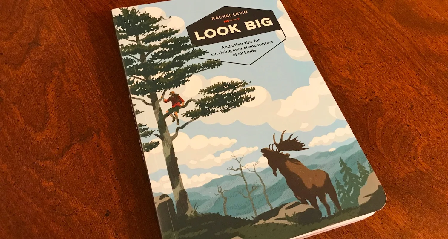 The book has been hanging around my table since Christmas. I’m reading it now with a chuckle.