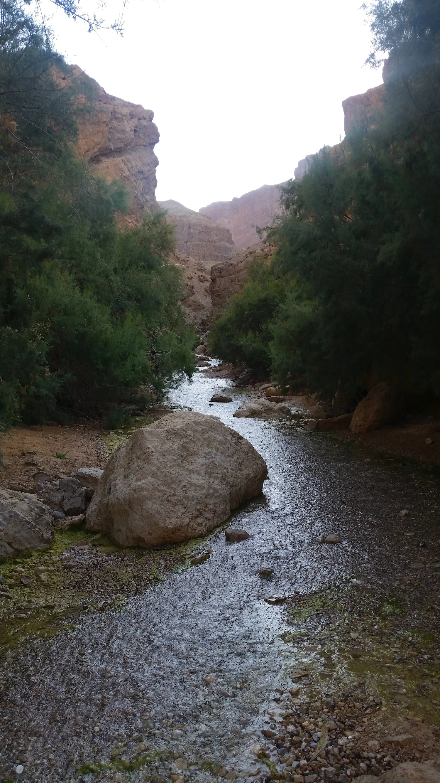 20190610_175622 copy.jpg