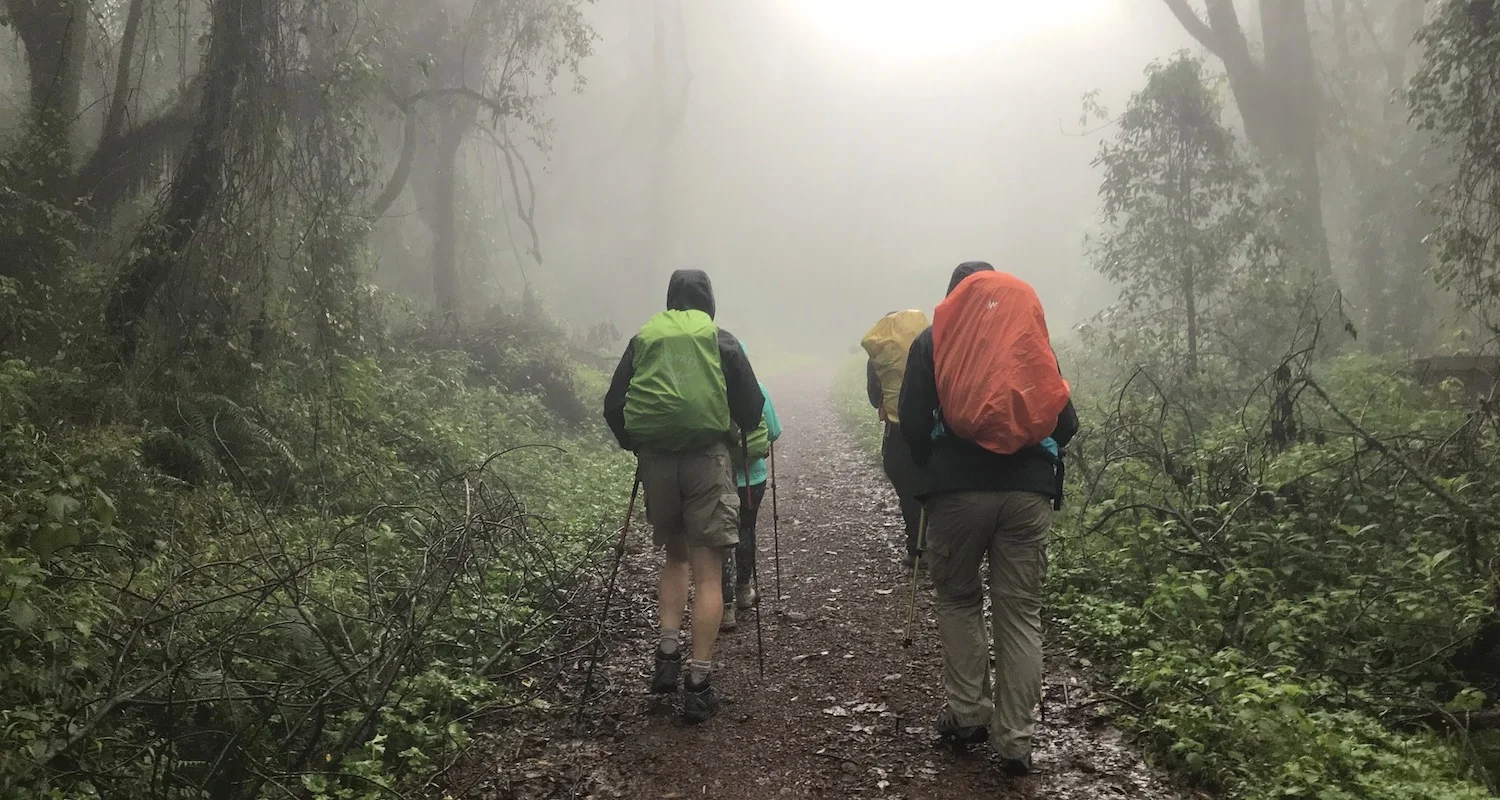 Hiking through the mist and mud of Kilimanjaro’s rainforest.