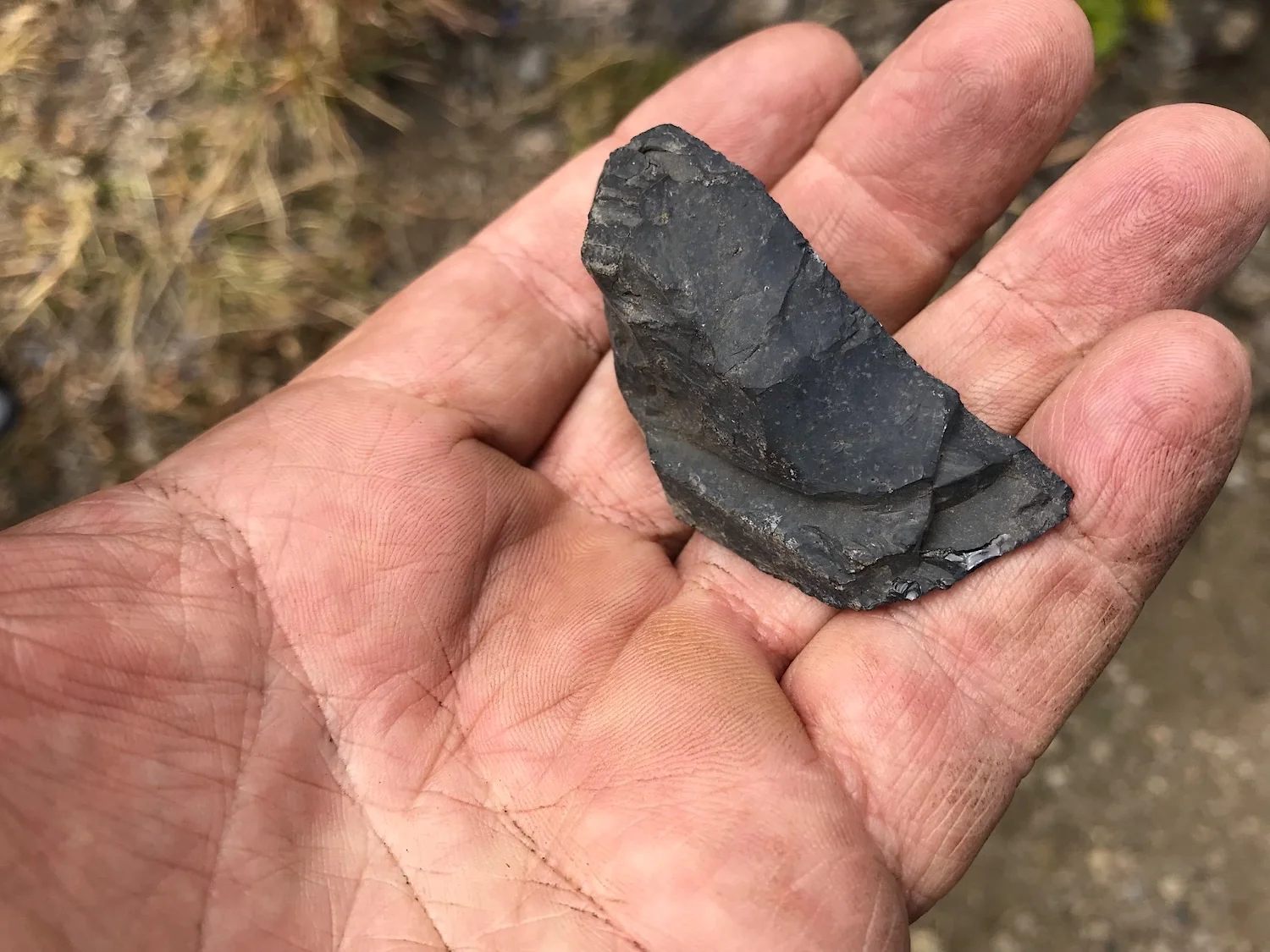 Obsidian 1.jpg