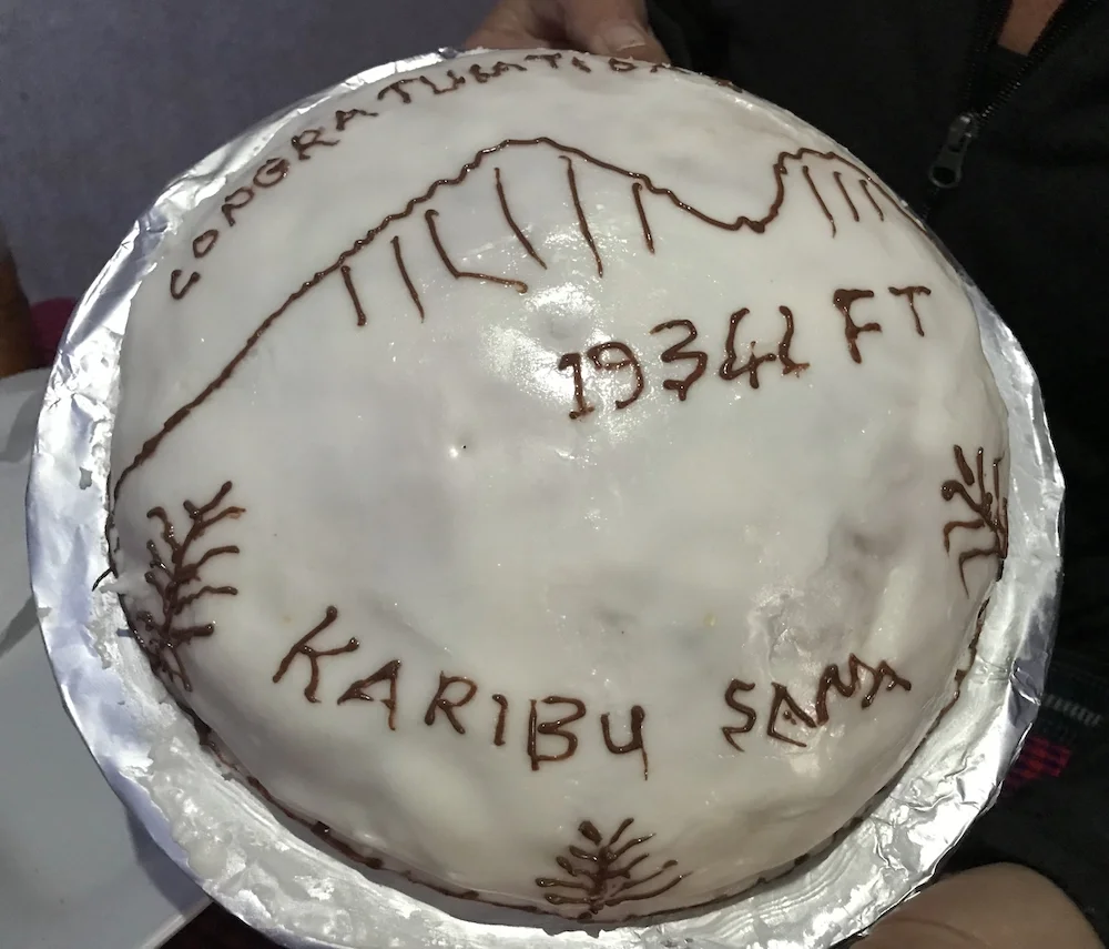 Celebration cake 1.jpg
