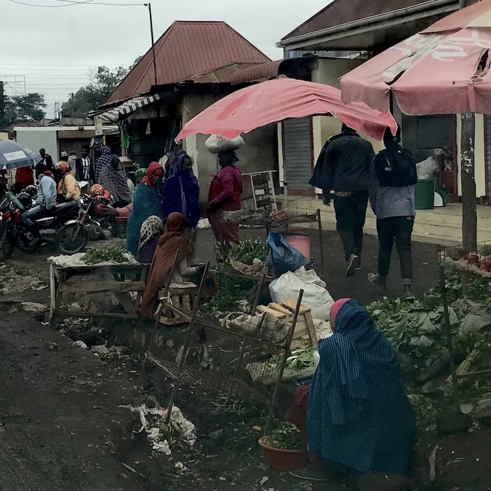 Arusha 3.jpg