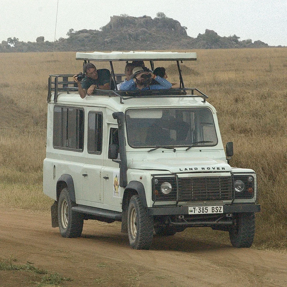 rover.jpg