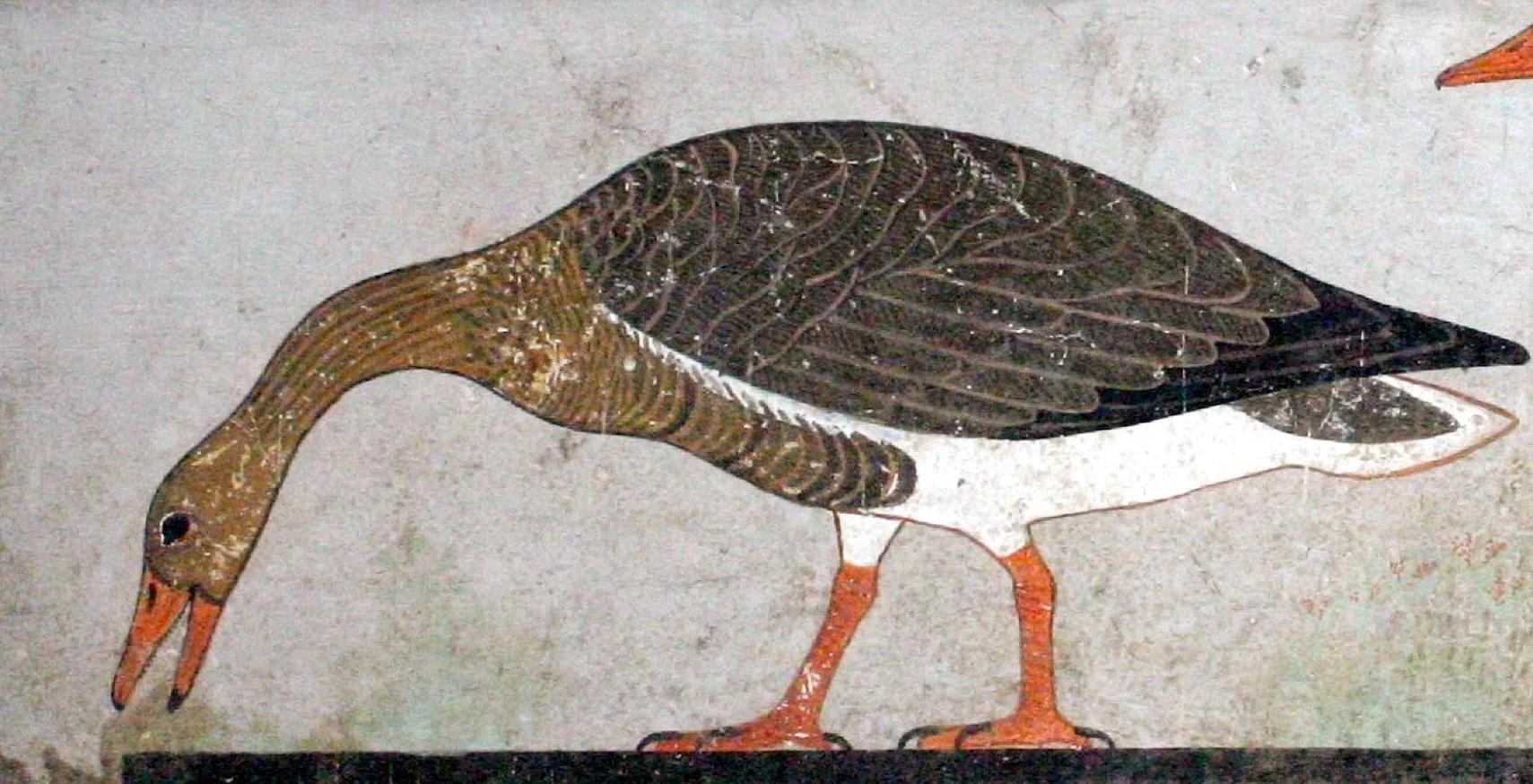 Detail of the Meidum Geese. Image from here (accessed 10?13/2019).