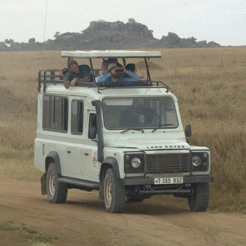 rover.jpg