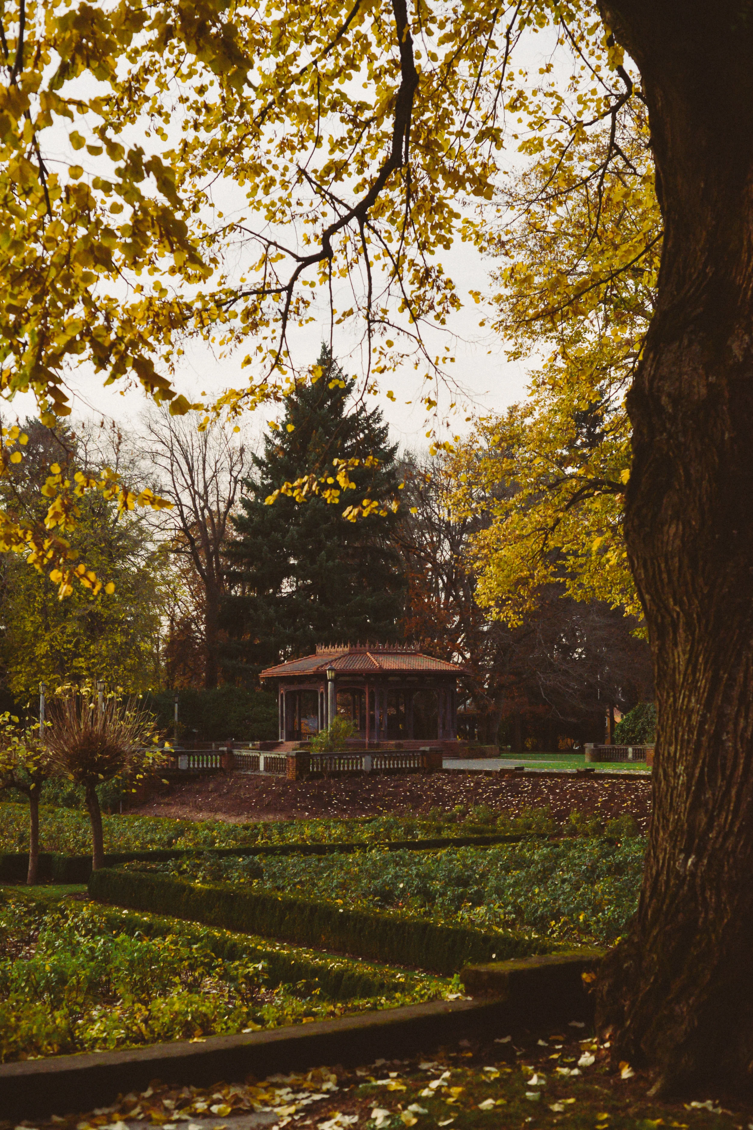 DSC_0352.jpg