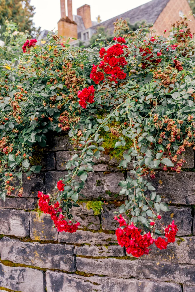 DSC_2711.jpg
