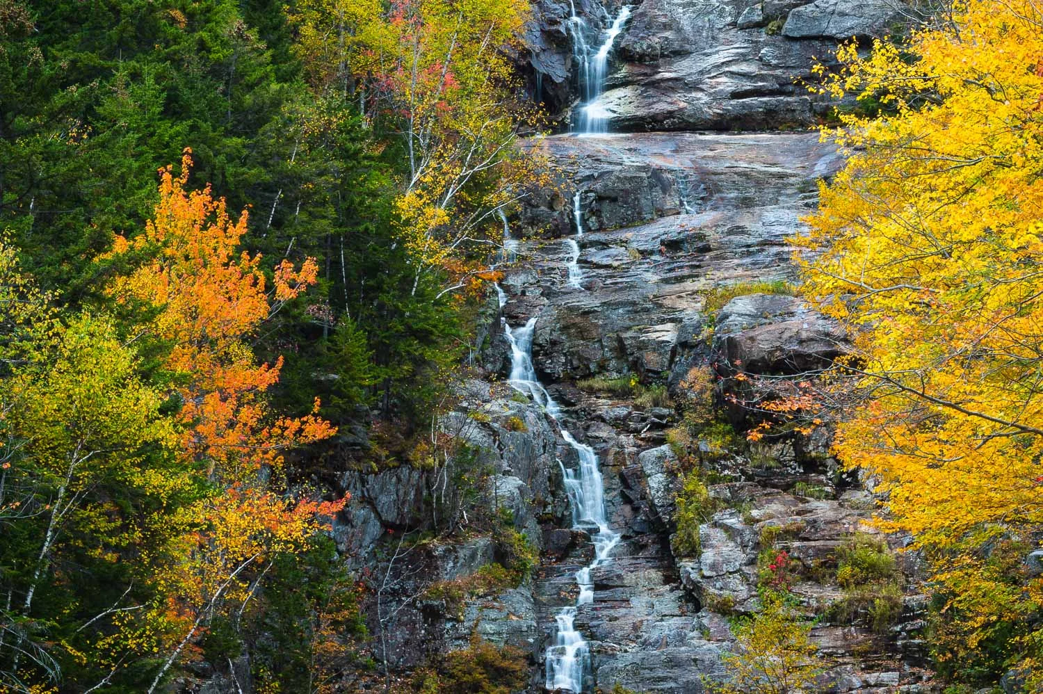 nature gallery 8-2 8.jpg