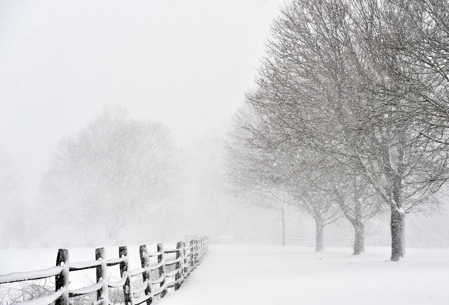 Nikon D4s, 1/250 @ f/7.1, ISO 250, 70-200mm Whiteout conditions make the driveway leading to the Rebecca Nurse Homestead difficult to see during Winter Storm Stella.