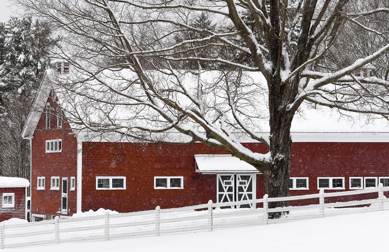 Nikon D500, 1/320 @ f/5, ISO 100, 70-200mm One of the barns on the property of Meredith Farm in Topsfield seen with a fresh coat of snow.