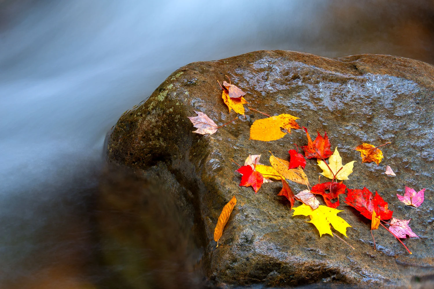 Sabbaday Brook in Waterville Valley, NH