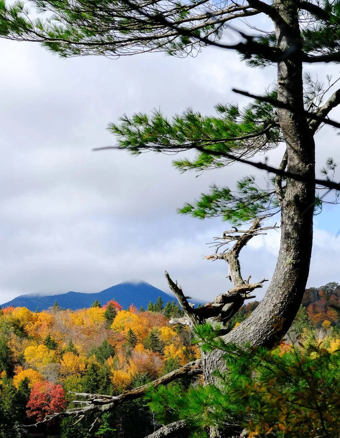 White Mountains, NH