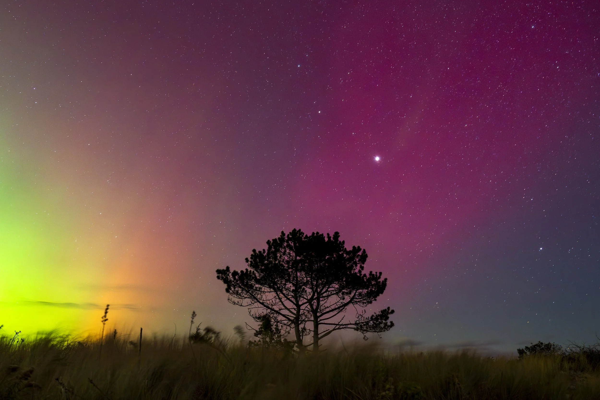 northern lights beach 2 copyweb.jpg