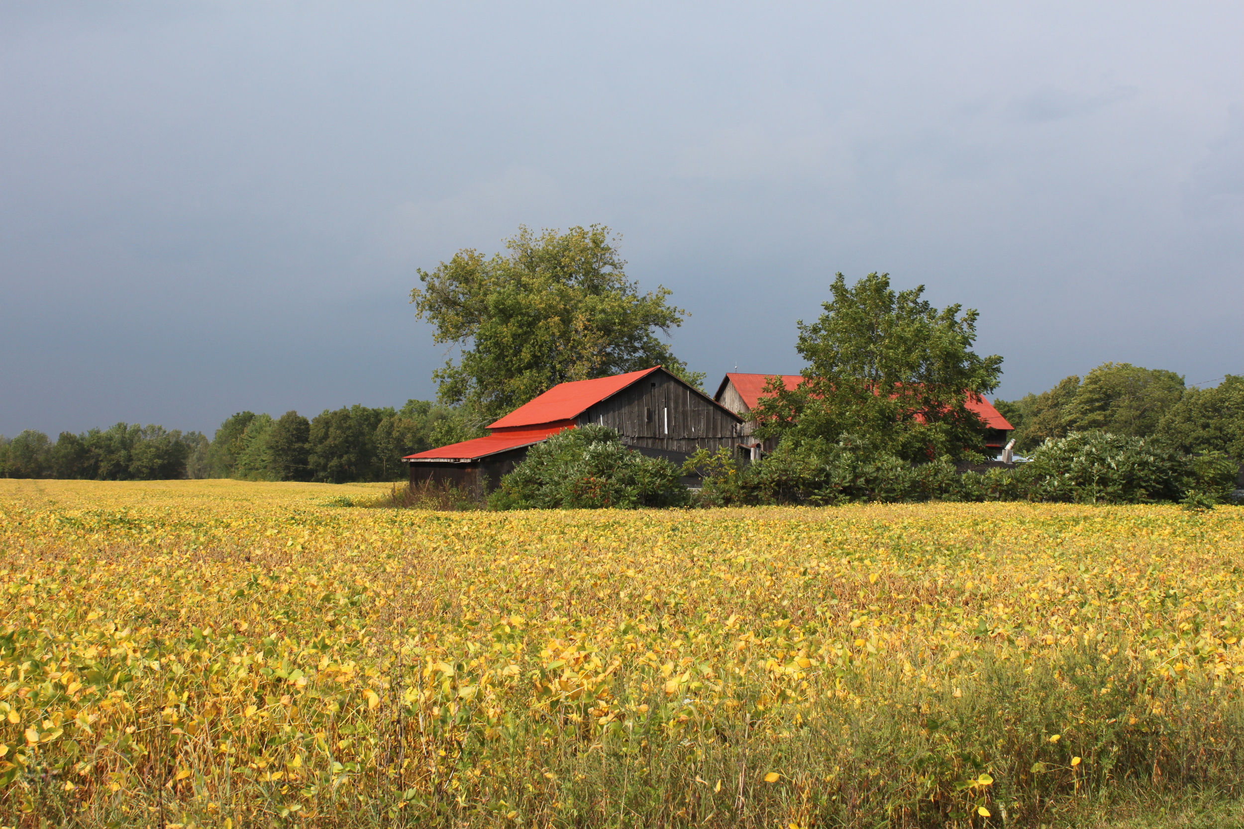 barn.jpeg.JPG