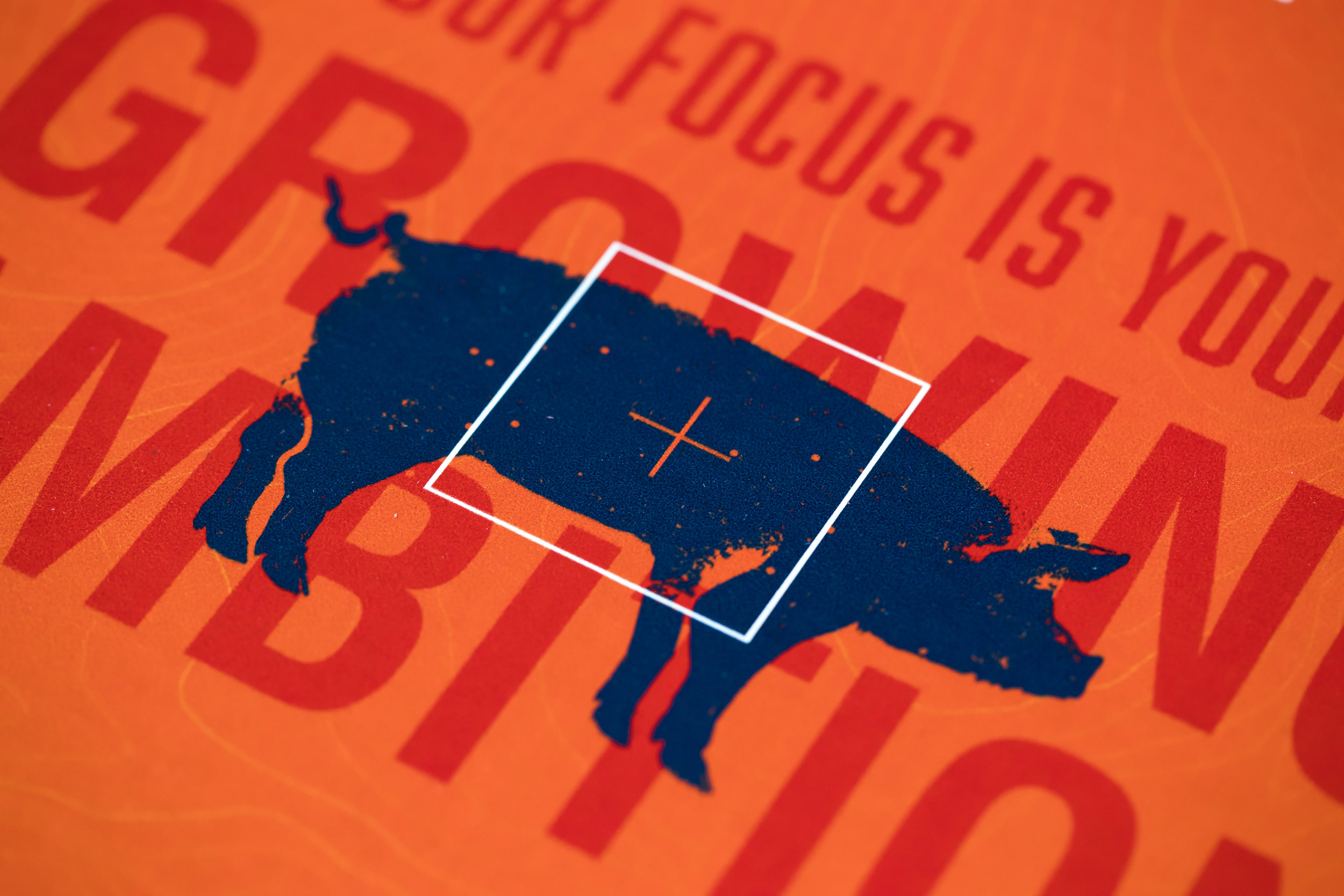 Showcasing the personal service of Rabo, we created an outbound marketing piece that focused on farmer hobbies.