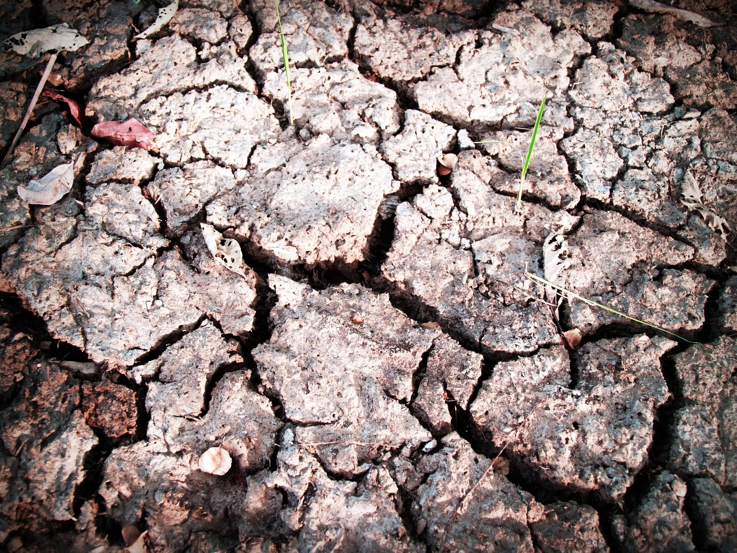 clay-close-up-cracks-216622.jpg