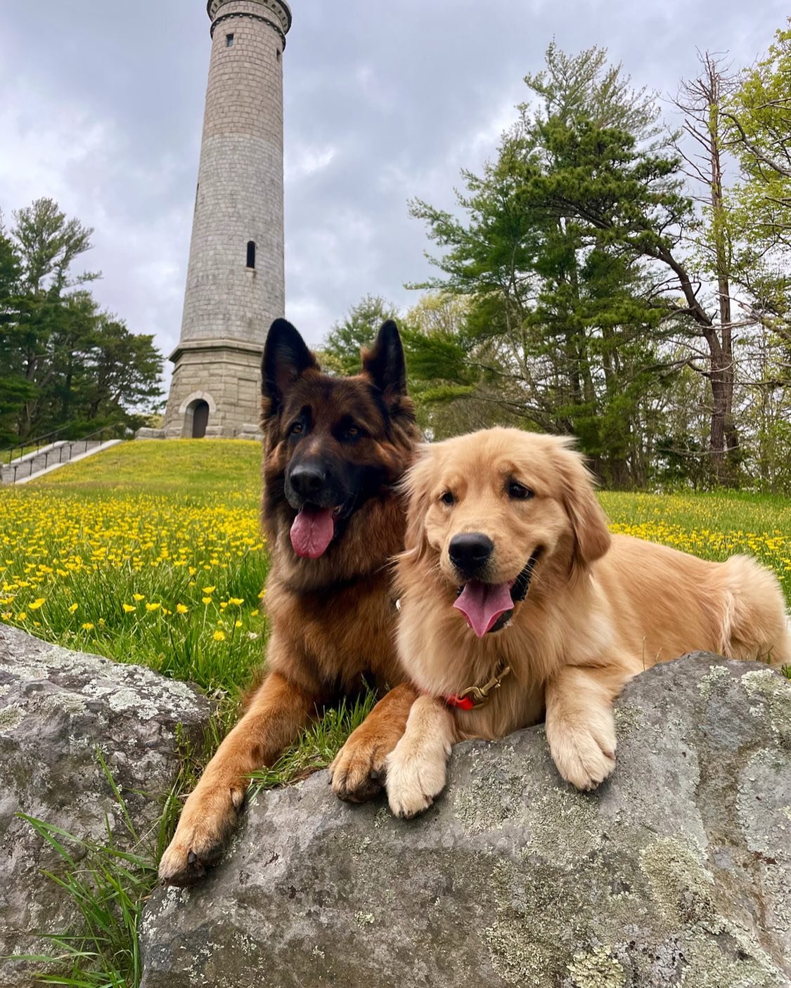 Dan and Sophie did a hike to the monument in Dux!